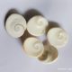 GOMATHI CHAKRA