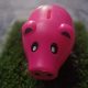 Money magnet piggy bank
